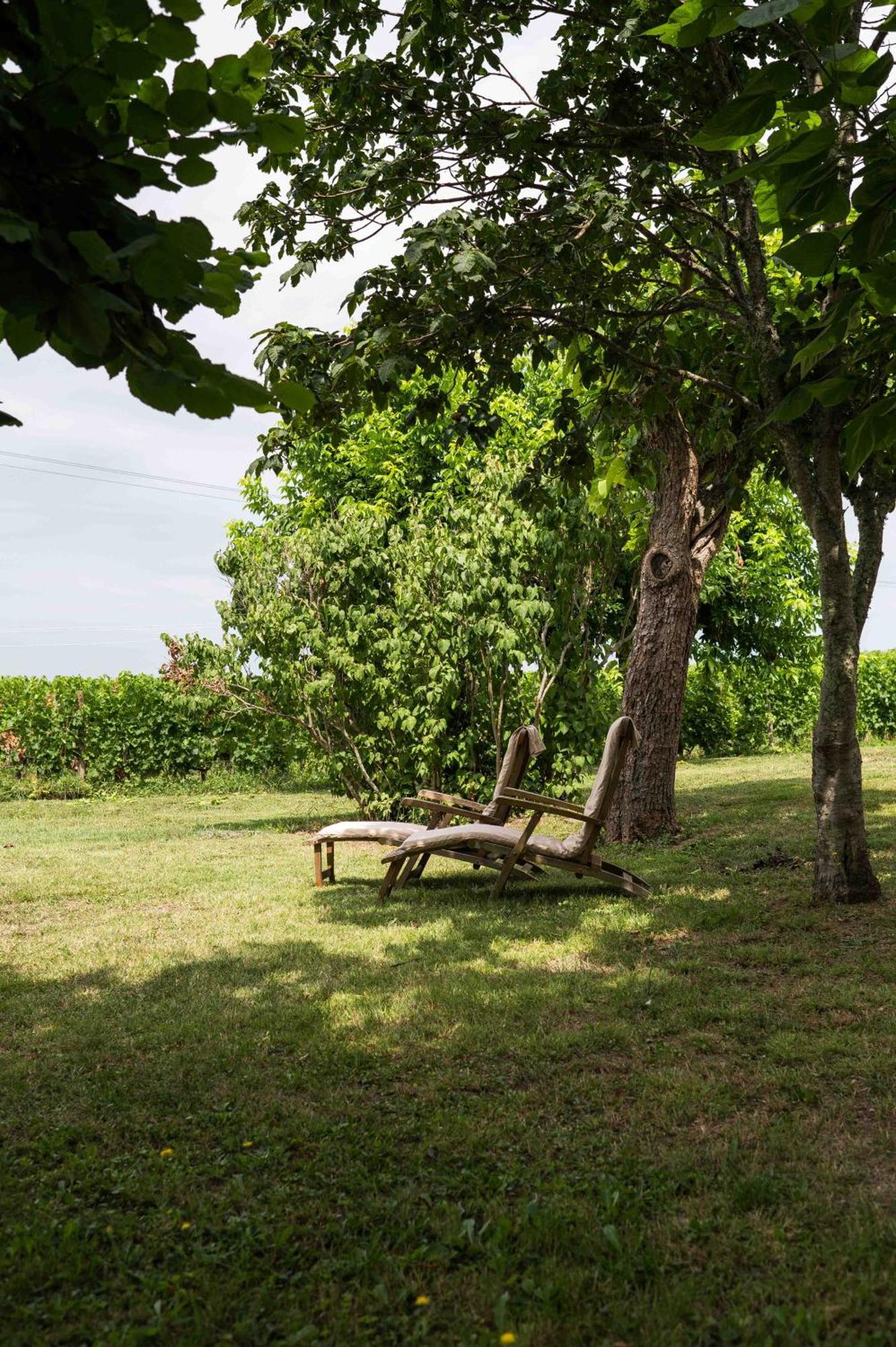 Clos De La Barbanne Montagne  Exterior photo