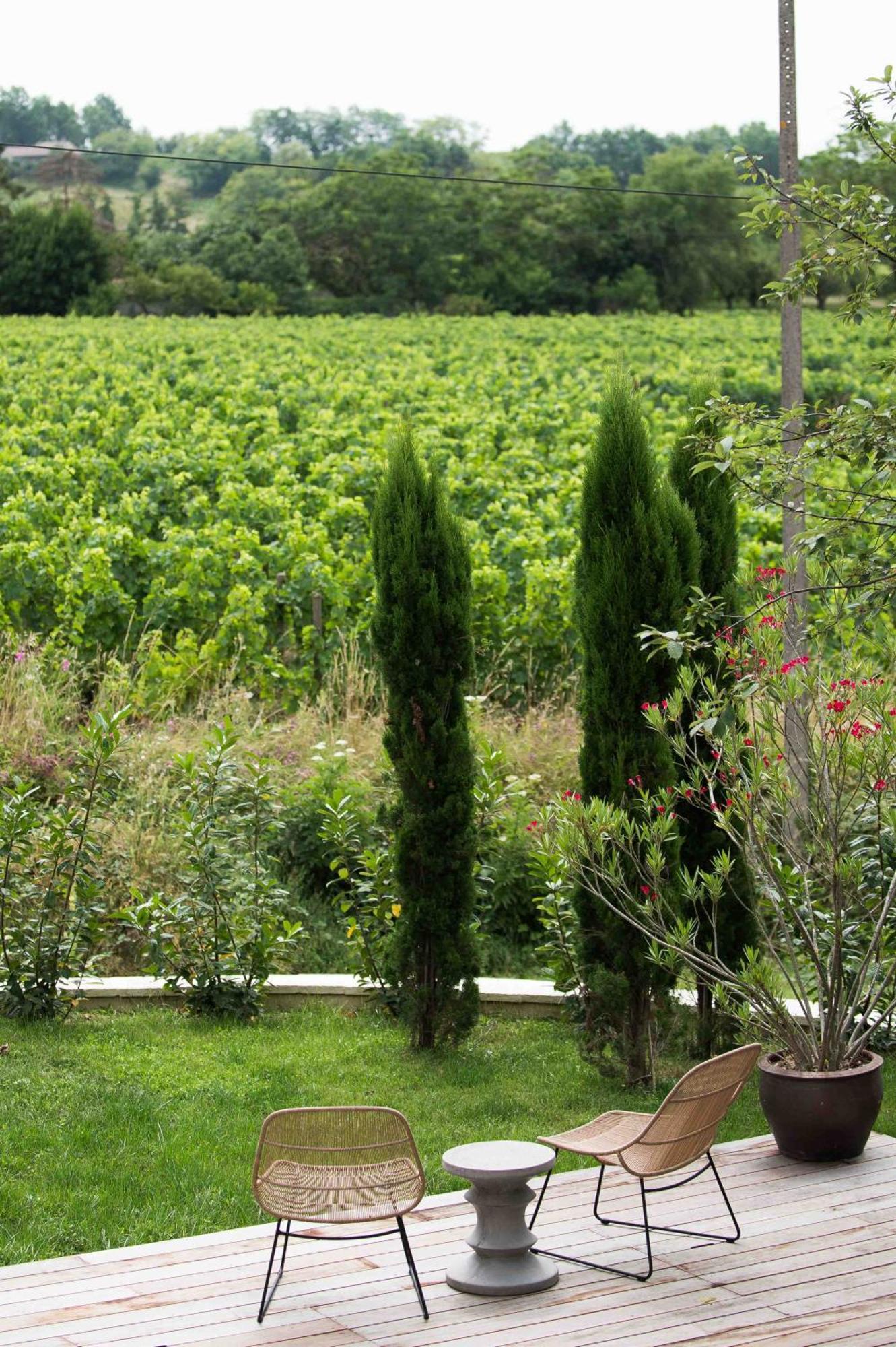 Clos De La Barbanne Montagne  Exterior photo
